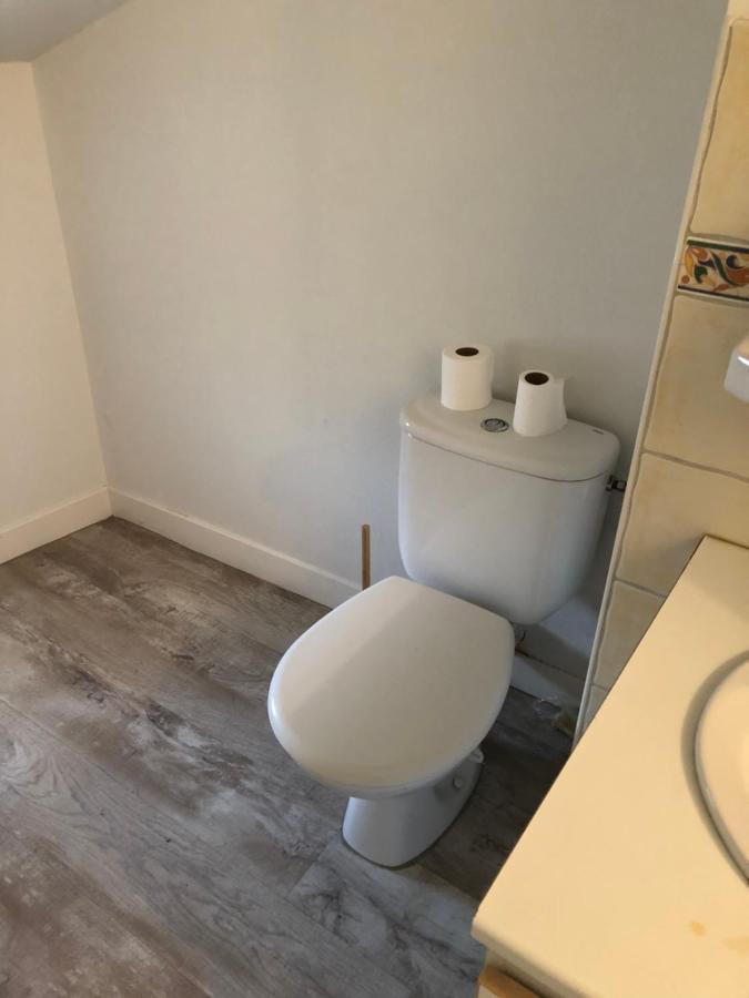 Appartement Cosy Et Lumineux Caussens Екстериор снимка